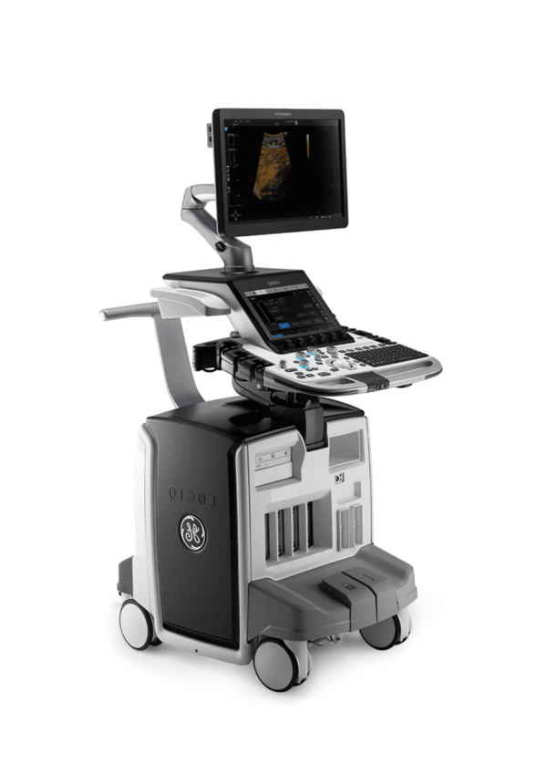 GE Logiq E10 Ultrasound Machine